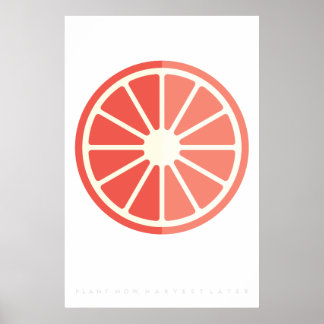 Ruby Citrus Retro Fruit Poster 60's 70's Quote