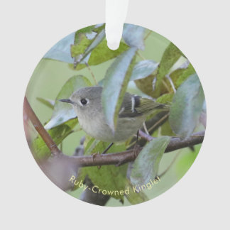 Ruby-crowned Kinglet Bird Ornament with Place Year