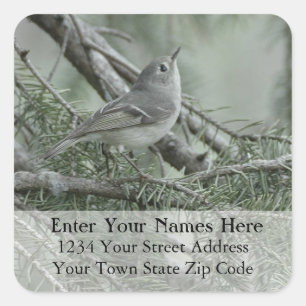 Ruby-Crowned Kinglet Return Address Label