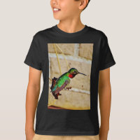 Ruby Green hummingbird