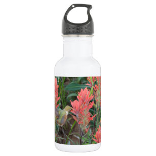 Ruby in Red Flowers Hummingbird 532 Ml Water Bottle