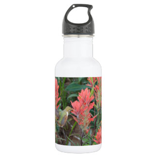 Ruby in Red Flowers Hummingbird 532 Ml Water Bottle