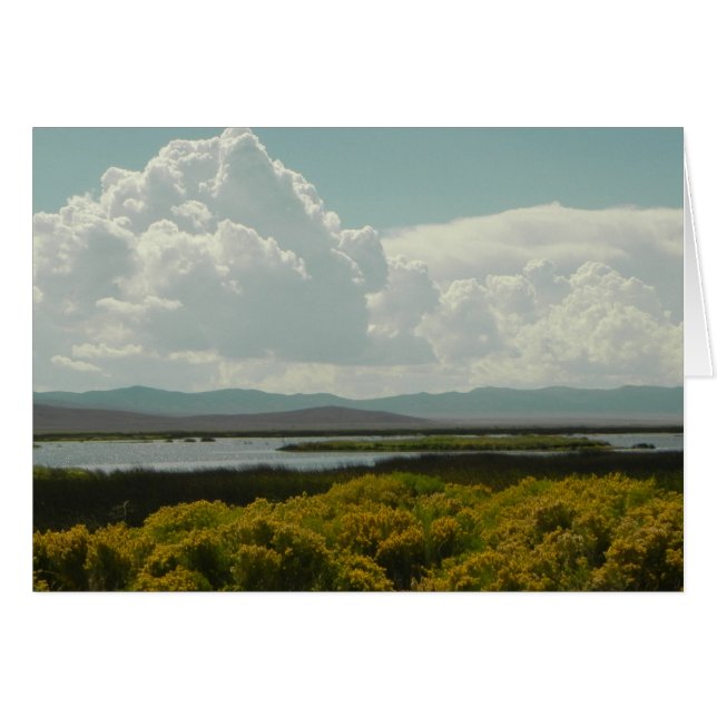 Ruby Marshes, Rabbit Brush (Front Horizontal)