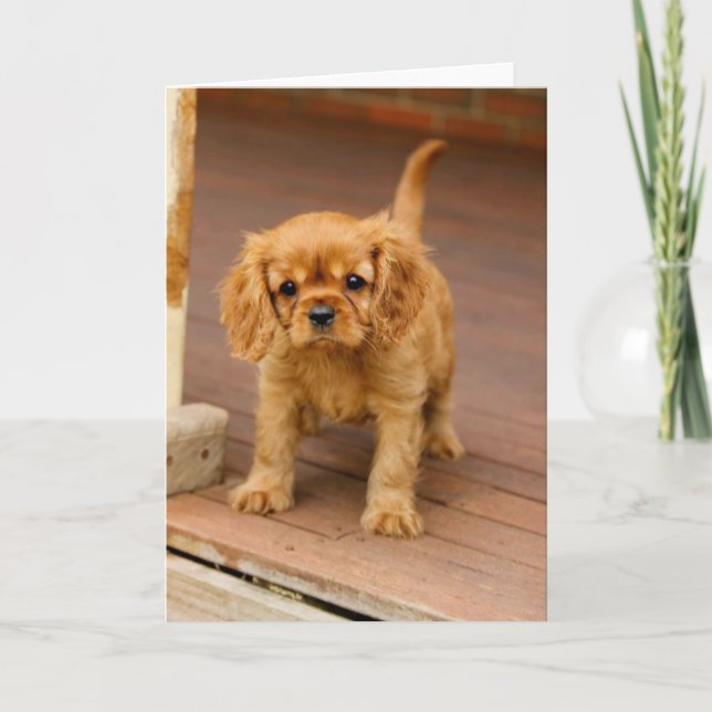 Ruby on the porch.jpg card (Front)