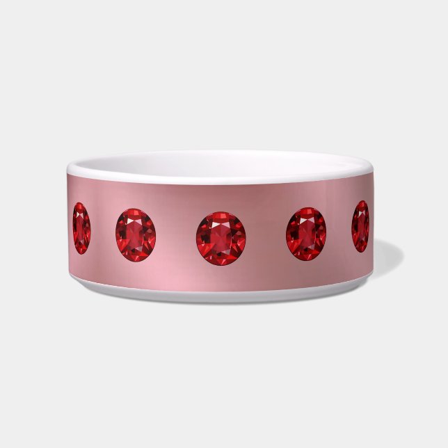 Ruby Pet Bowl (Front)