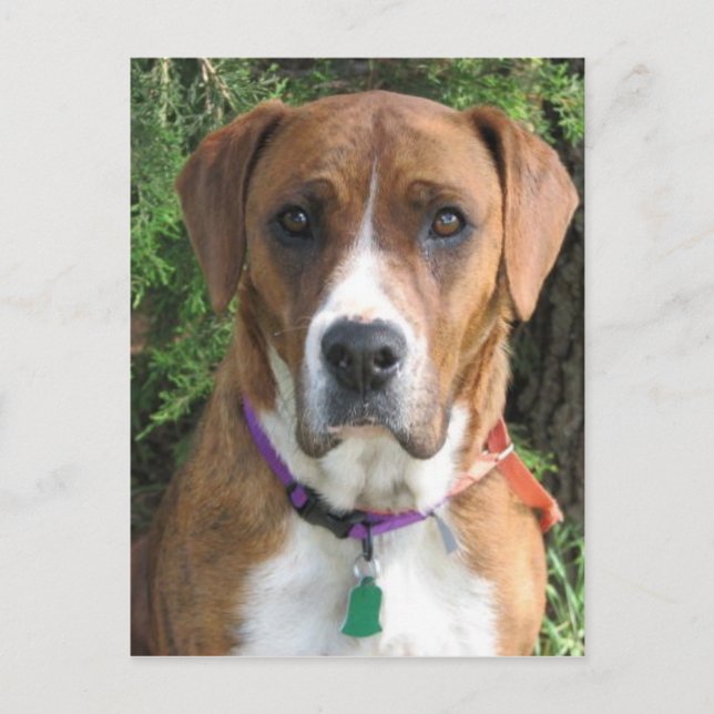 Ruby Postcard (Front)