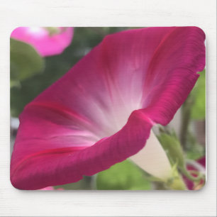 Ruby Red Morning Glory Close-up Mouse Pad