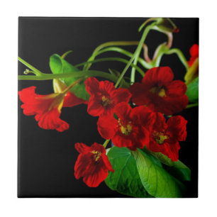 Ruby Red Nasturtium Ceramic Tile