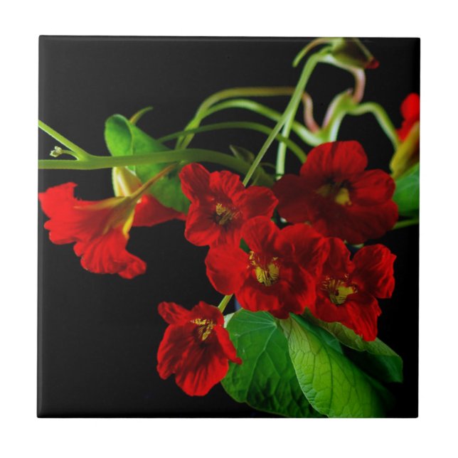 Ruby Red Nasturtium Ceramic Tile (Front)