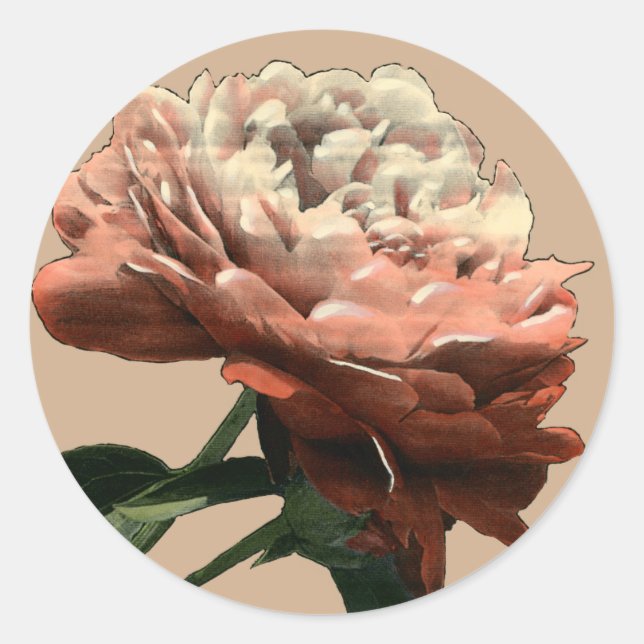 Ruby Red Rose with White Accents Classic Round Sticker (Front)