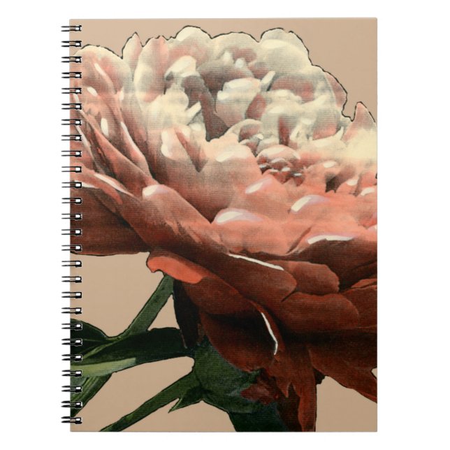 Ruby Red Rose with White Accents Notebook (Front)