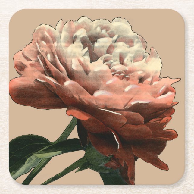 Ruby Red Rose with White Accents Square Paper Coaster (Front)