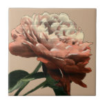 Ruby Red Rose with White Accents Tile<br><div class="desc">A Chariklia Zarris original,  this ruby red rose stretches towards a light illuminating its petals. Is it the sun shining on the rose,  or an artificial light? A great piece with which to start your art collection!</div>
