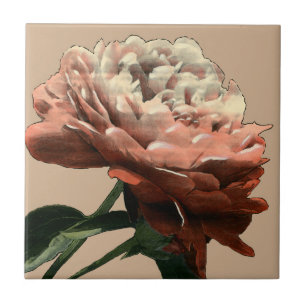 Ruby Red Rose with White Accents Tile