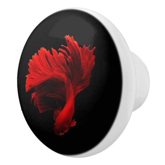 Ruby Red Siamese Fighting Fish Ceramic Knob (Right)