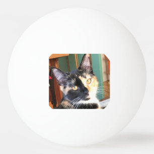 Ruby’s Ping Pong Ball