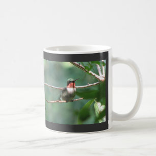 Ruby-throat Flutters Mug