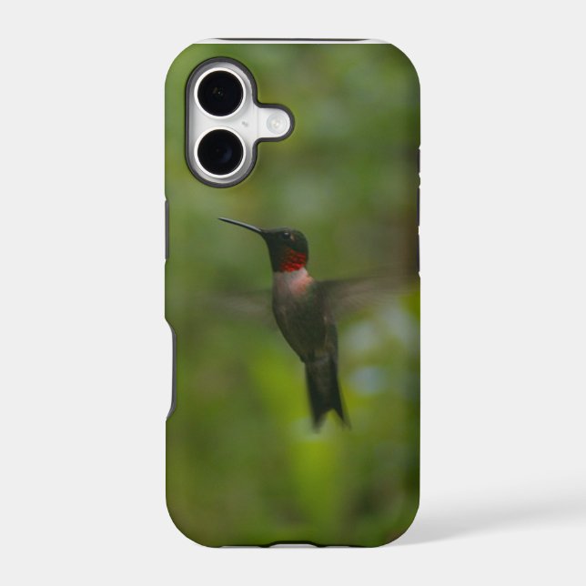 Ruby Throat Hummingbird (Back)