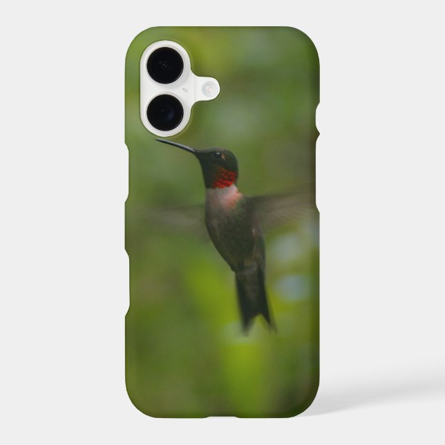 Ruby Throat Hummingbird (Back)