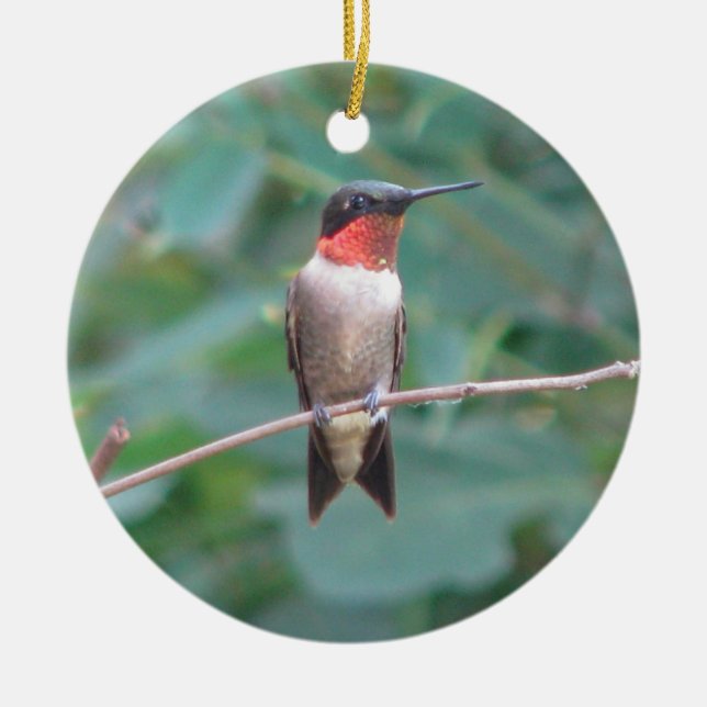 Ruby-throat Hummingbird Ceramic Tree Decoration (Front)