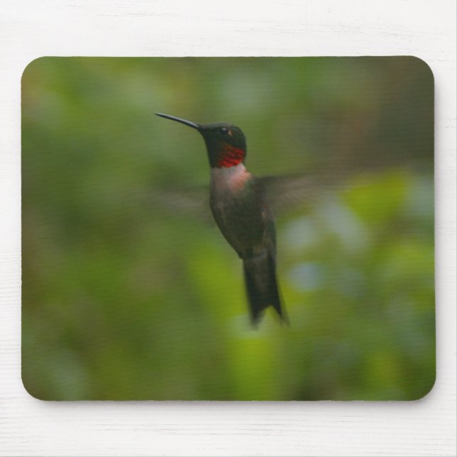 Ruby Throat Hummingbird Mouse Pad (Front)