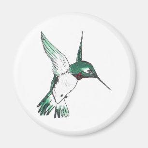 Ruby Throat Magnet