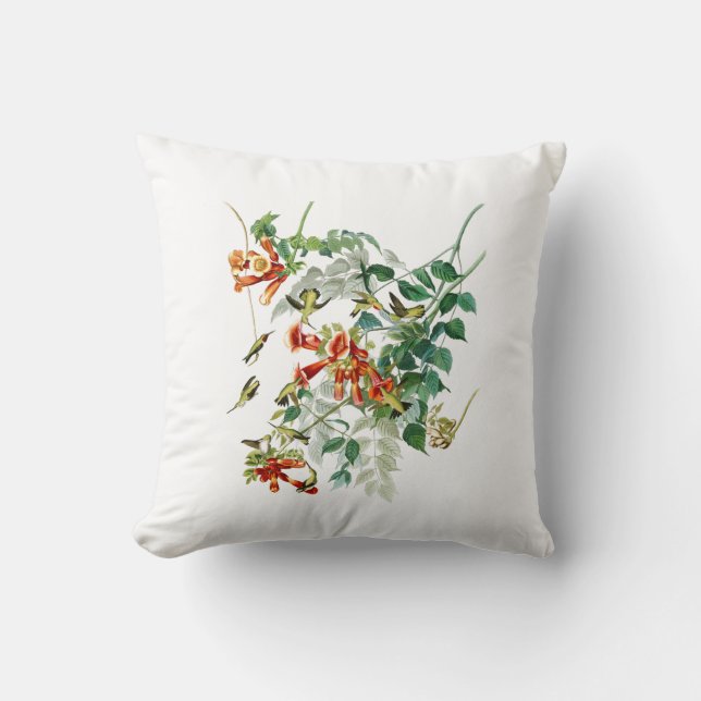 Ruby-throated Humming Bird Audubon Birds America Cushion (Front)