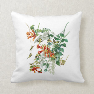 Ruby-throated Humming Bird Audubon Birds America Cushion