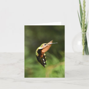 Ruby-throated Hummingbird #5 - Blank Note Card