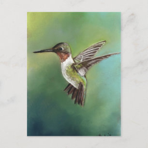 Ruby Throated Hummingbird Art Postcard