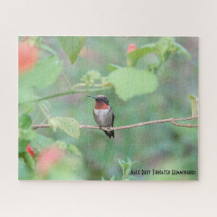 Ruby Throated Hummingbird, bird lover's  Jigsaw Puzzle