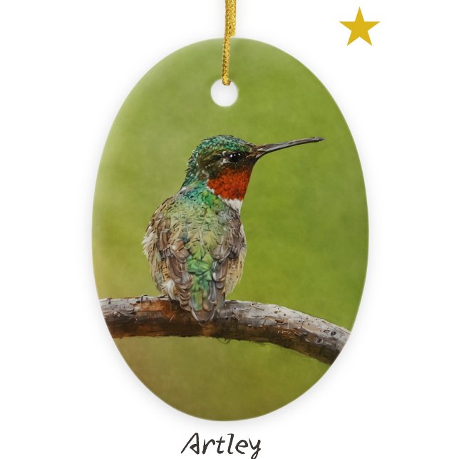 Ruby Throated Hummingbird Bird Painting Year Ceramic Ornament (Creator Uploaded)
