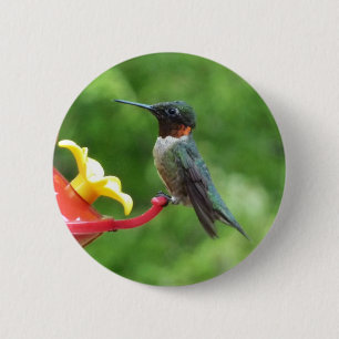Ruby-Throated Hummingbird Bird Photography 6 Cm Round Badge