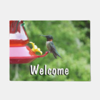 Ruby-Throated Hummingbird Bird Photography