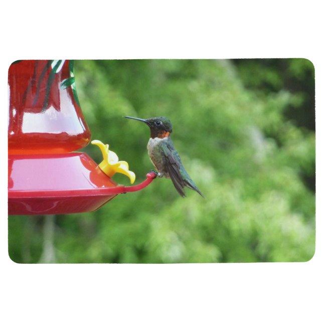 Ruby-Throated Hummingbird Bird Photography Floor Mat (Front)