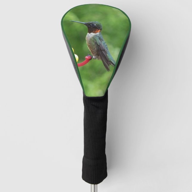 Ruby-Throated Hummingbird Bird Photography Golf Head Cover (Front)