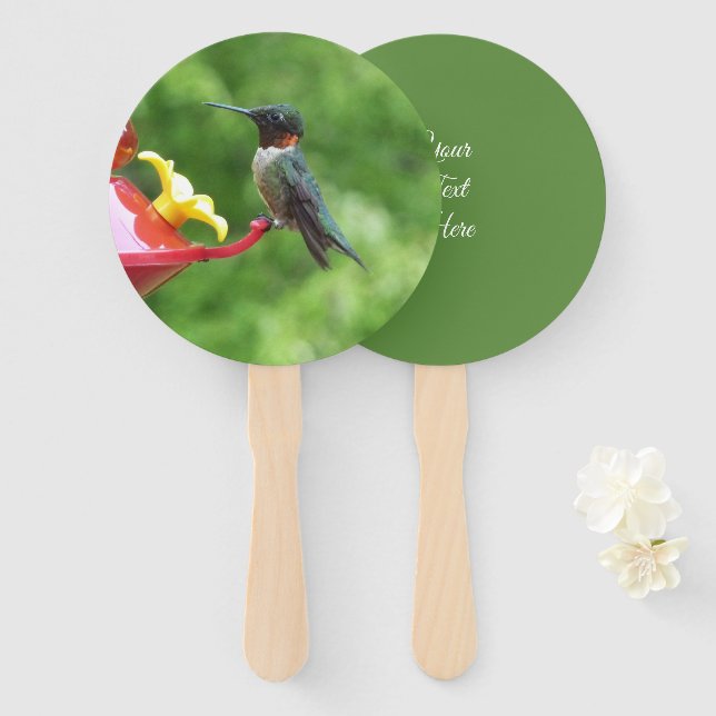Ruby-Throated Hummingbird Bird Photography Hand Fan (Front and Back)