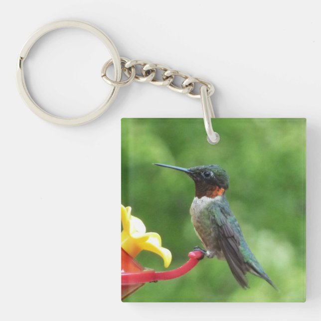 Ruby-Throated Hummingbird Bird Photography Key Ring (Front)