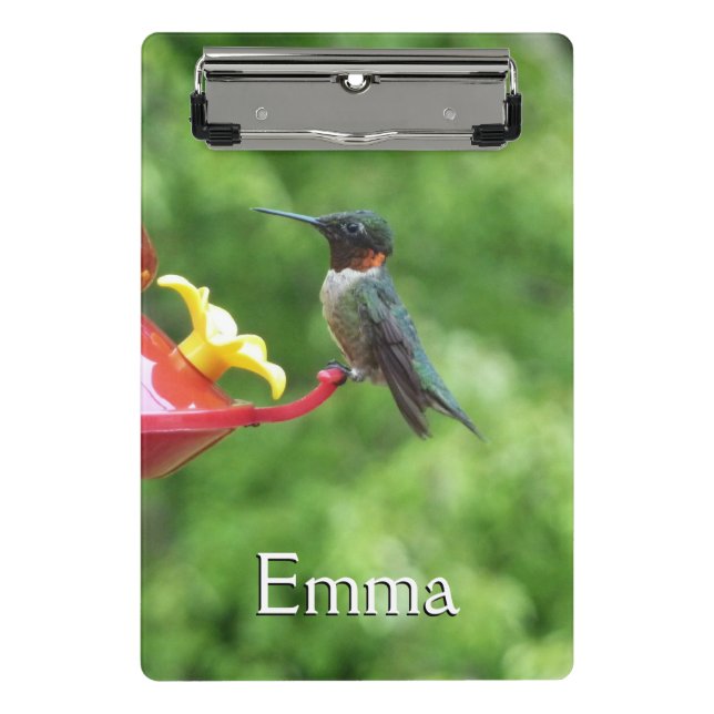 Ruby-Throated Hummingbird Bird Photography Mini Clipboard (Front)