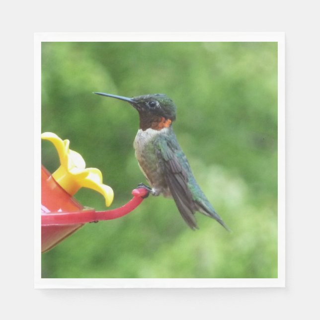 Ruby-Throated Hummingbird Bird Photography Napkin (Front)