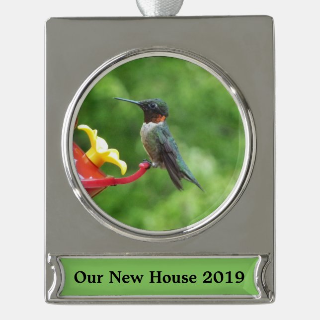 Ruby-Throated Hummingbird Bird Photography Silver Plated Banner Ornament (Front)