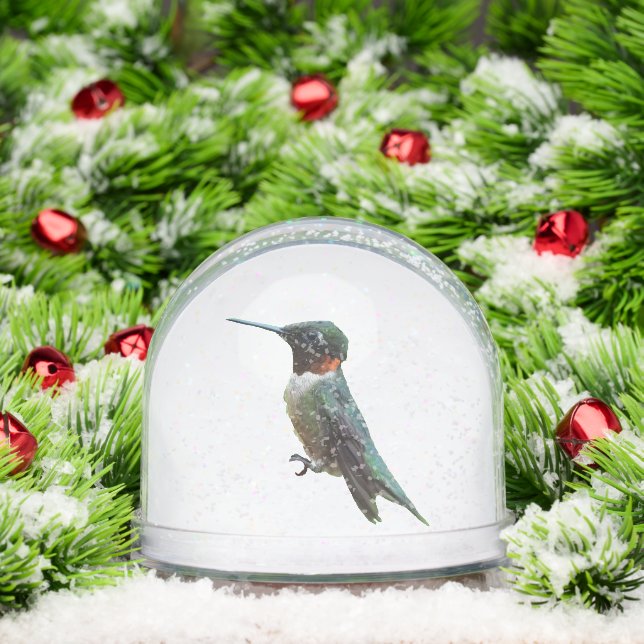 Ruby-Throated Hummingbird Bird Photography Snowglobe (Christmas)