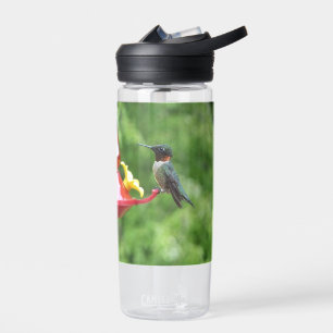 Ruby-Throated Hummingbird Bird Photography Water Bottle