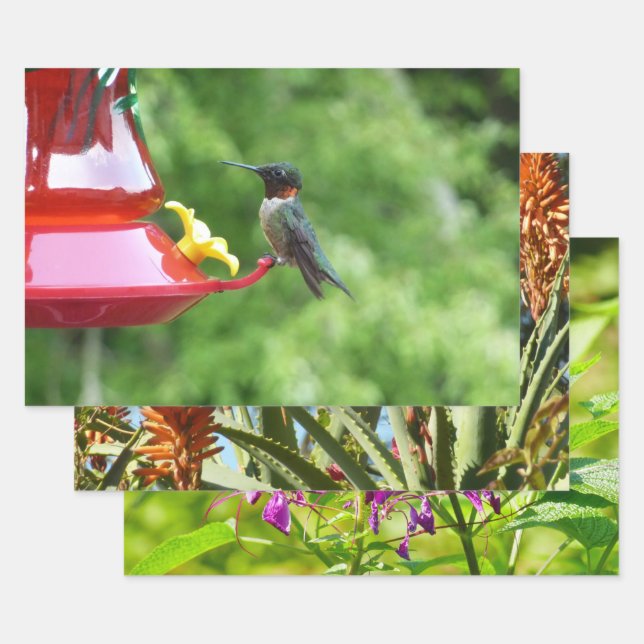 Ruby-Throated Hummingbird Bird Photography Wrapping Paper Sheet (Set)