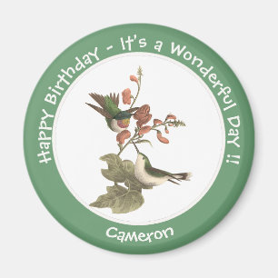 Ruby-throated Hummingbird, Birthday or Other Party Magnet