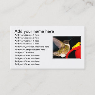 Ruby-Throated Hummingbird Business Card