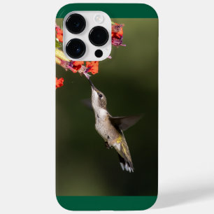 Ruby-Throated Hummingbird Case-Mate iPhone 14 Pro Max Case