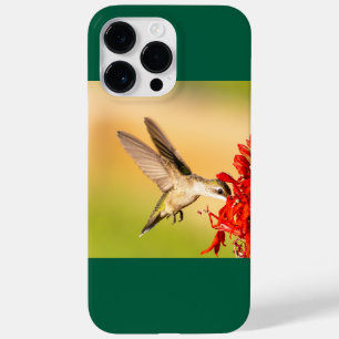 Ruby-Throated Hummingbird Case-Mate iPhone 14 Pro Max Case