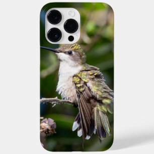 Ruby-Throated Hummingbird Case-Mate iPhone 14 Pro Max Case
