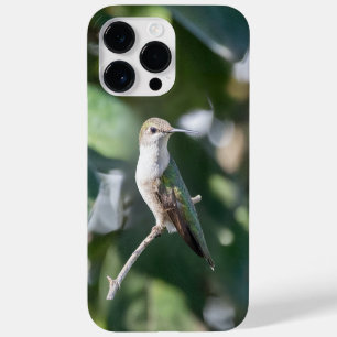 Ruby-Throated Hummingbird Case-Mate iPhone 14 Pro Max Case